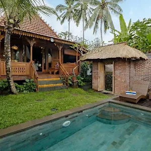  Villa Bubu Mesari